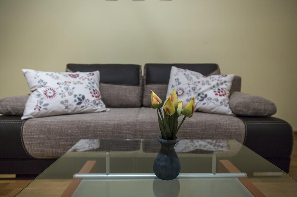 Apart4You Apartament Meteor زاكوباني المظهر الخارجي الصورة